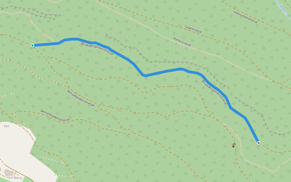 Bruedergartenstrasse walking route map in Freienstein-Teufen