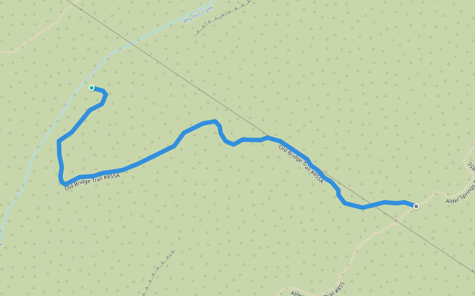 Old Bridge Trail #855A walking route map in CROOKED RIVER