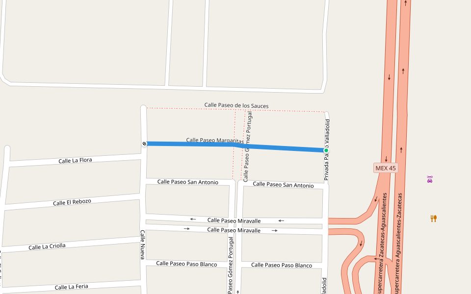Calle Paseo Margaritas walking route map in Aguascalientes