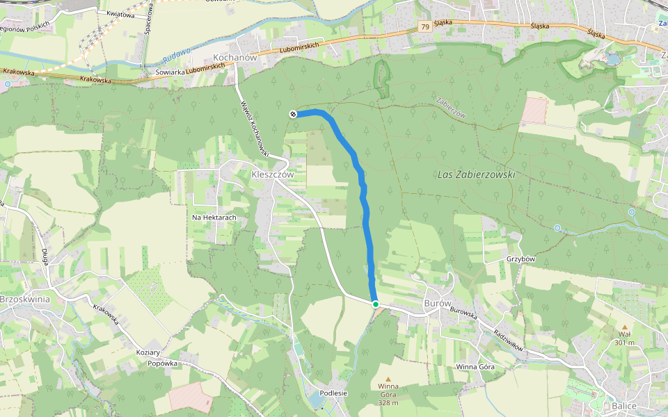 Wąwóz Zbrza walking route map in Burów