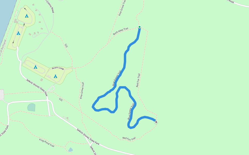 Blue Forest Trail walking route map in Pulaski