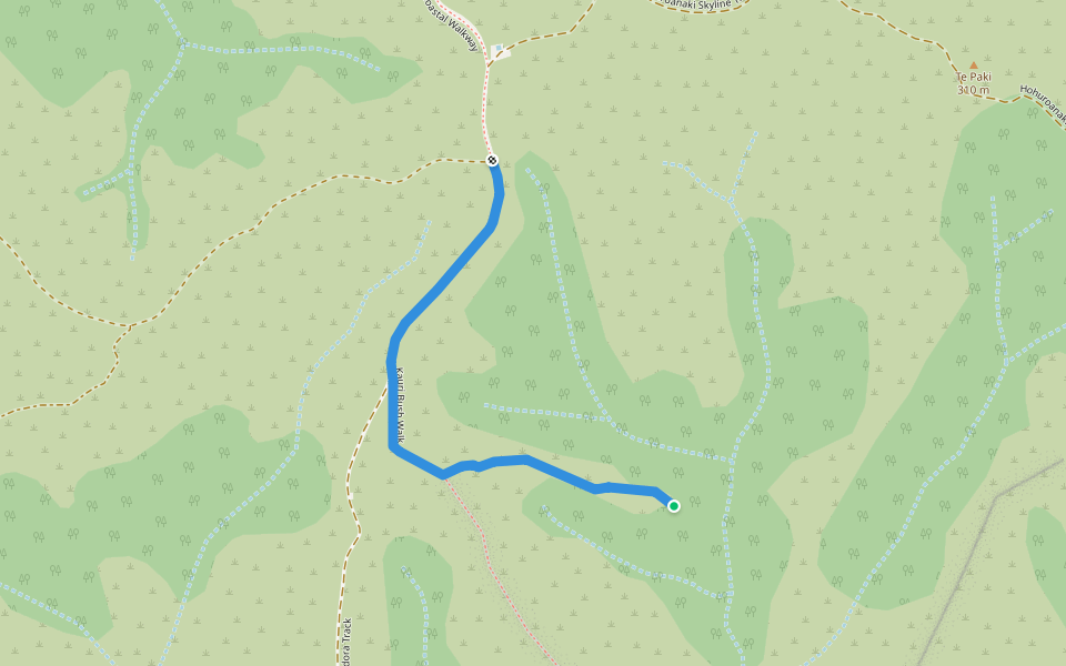 Kauri Bush Walk walking route map in Cape Reinga