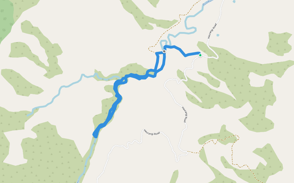 Patuna Chasm Walk walking route map in Ruakōkoputuna