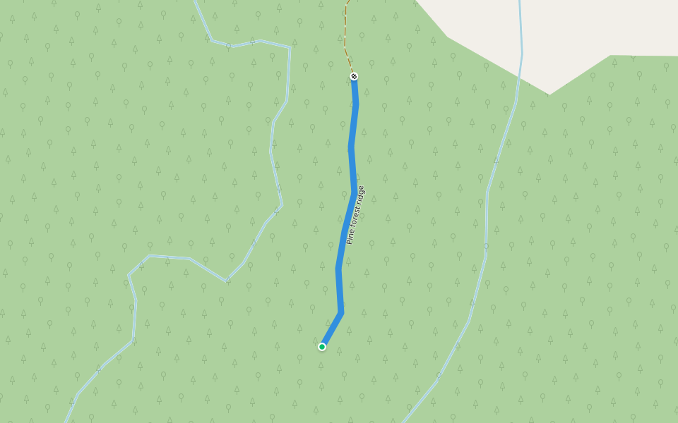 Pine forest ridge walking route map in Tereora