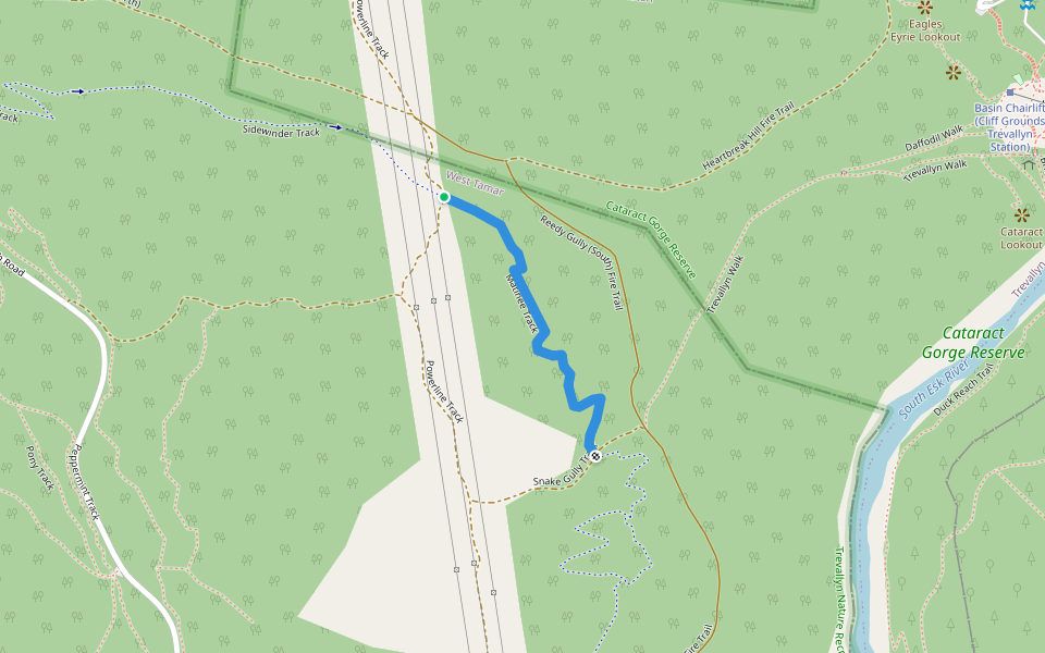 Matinee Track walking route map in Trevallyn
