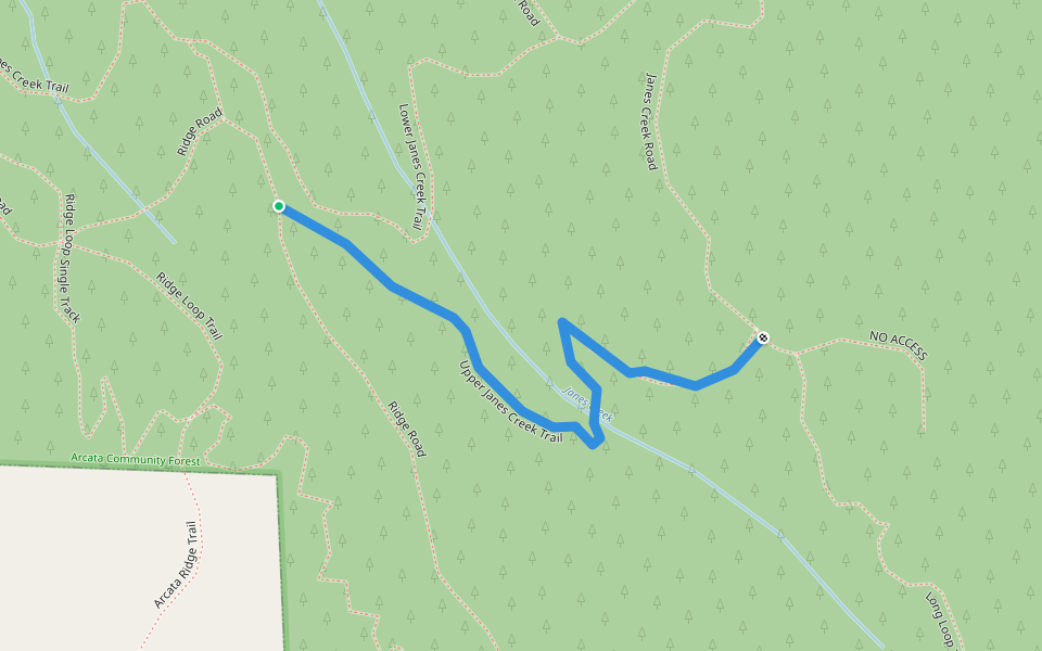 Upper Janes Creek Trail #7