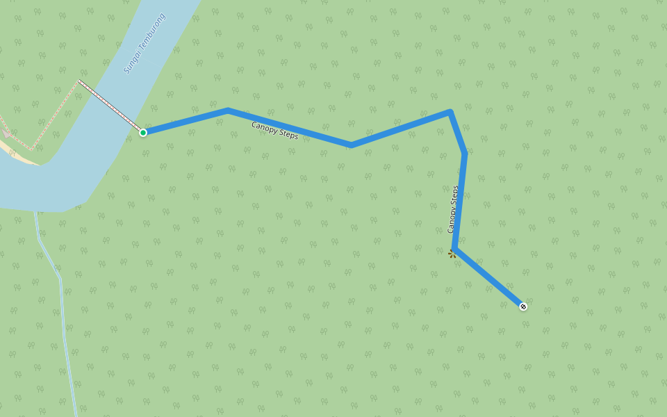 Canopy Steps walking route map in Batang Duri