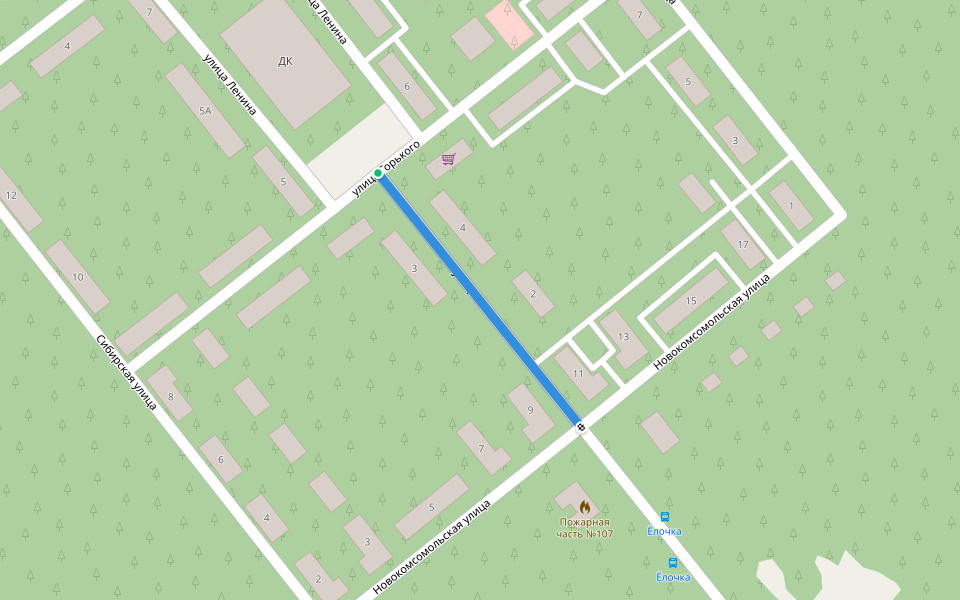 улица Ленина walking route map in Nazarovo