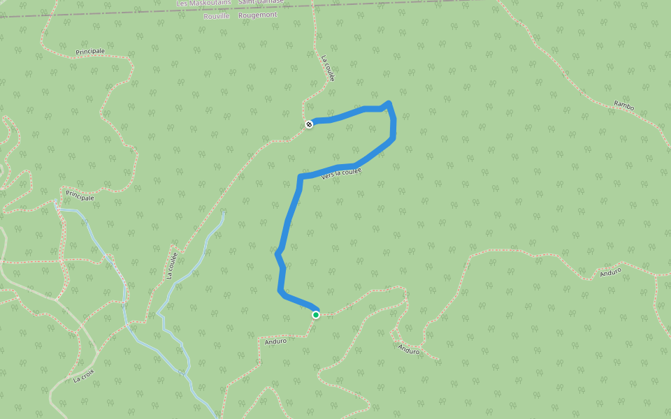Vers la coulée walking route map in Rougemont