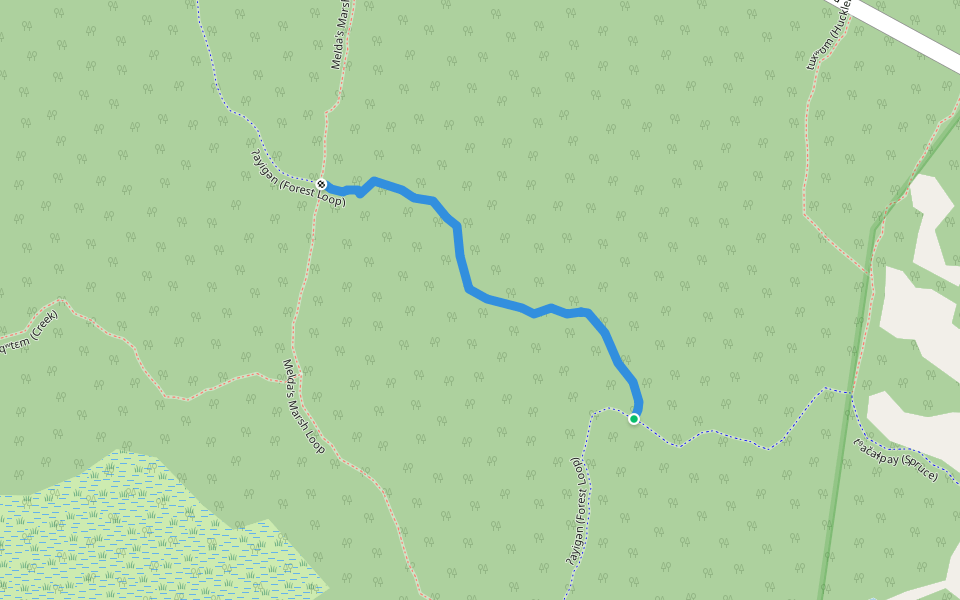 Bridges Trail walking route map in Courtenay