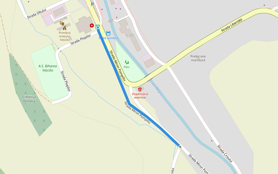 Strada Miron Pompiliu walking route map in Vaşcău