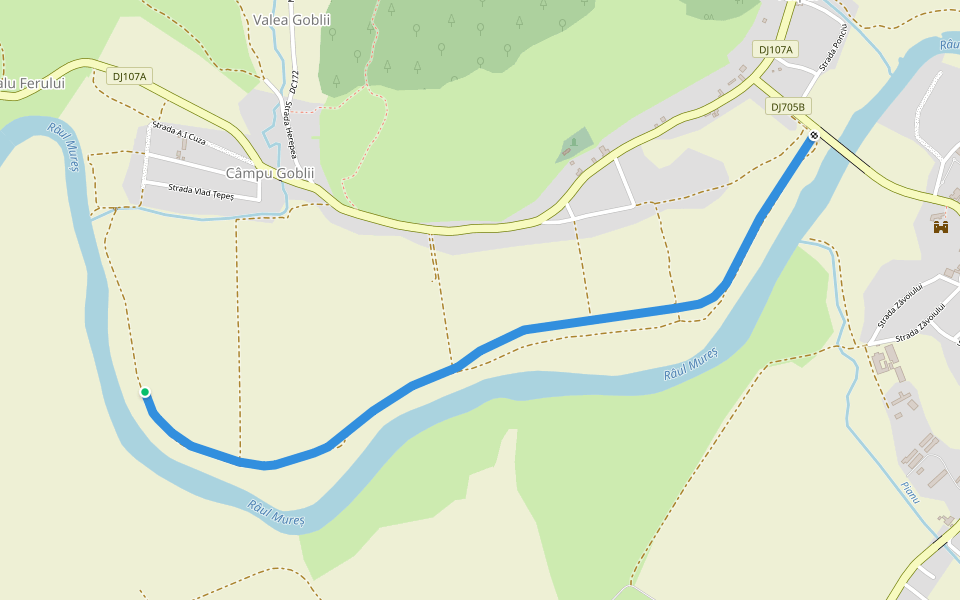 Dig walking route map in Câmpu Goblii
