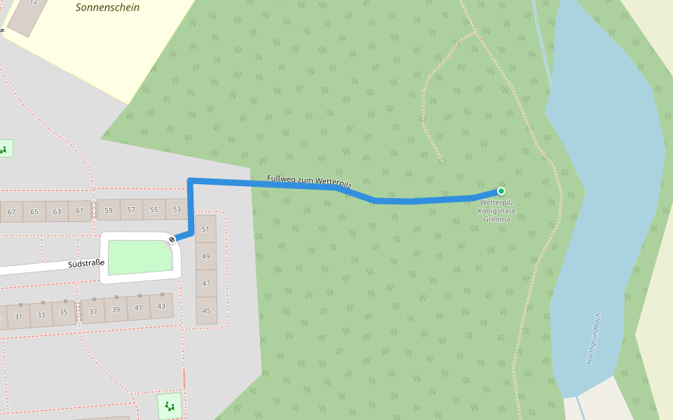 Fußweg zum Wetterpilz walking route map in Grimma