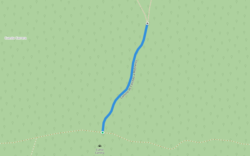 Camino de Carcedo a Molineros walking route map in Castrillo del Val