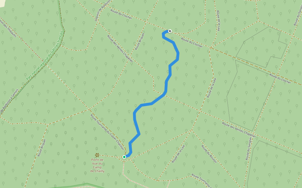 Route Tournante du Point de Vue du Camp Chailly