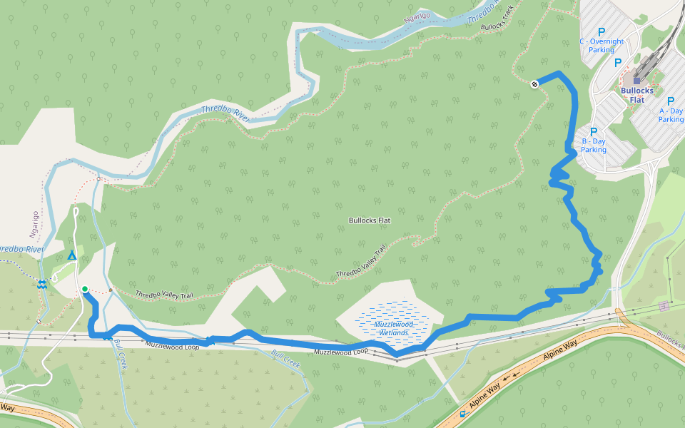 Muzzlewood Loop walking route map in Bullocks Flat
