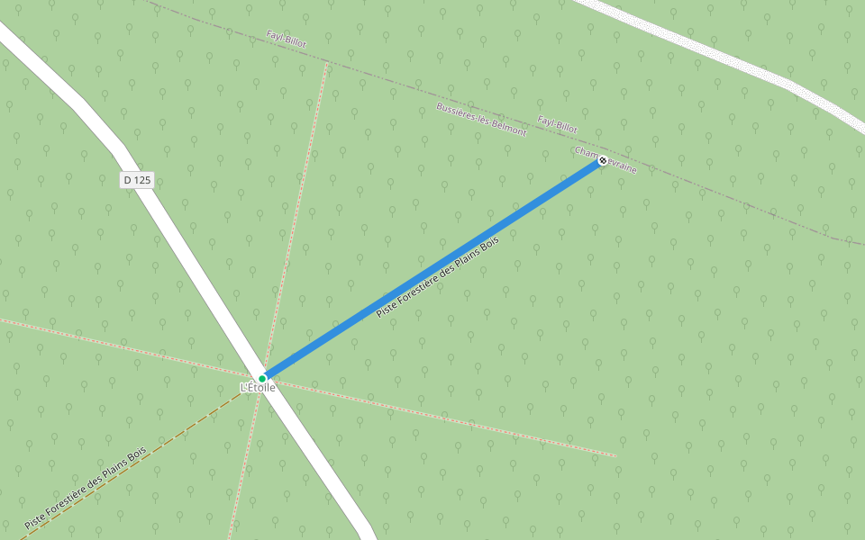 Piste Forestière des Plains Bois walking route map in Champsevraine
