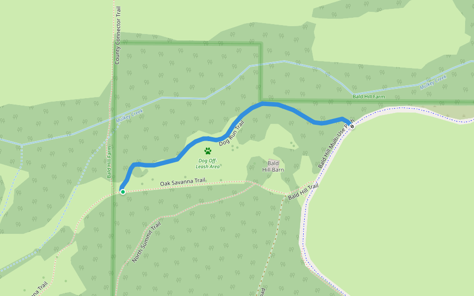 Dog Run Trail