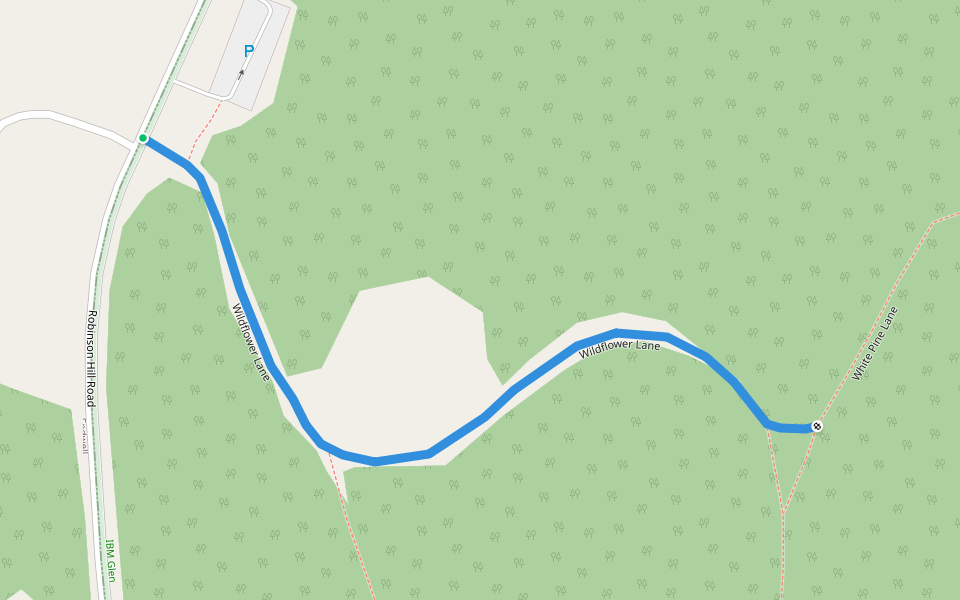 Wildflower Lane walking route map in Endicott