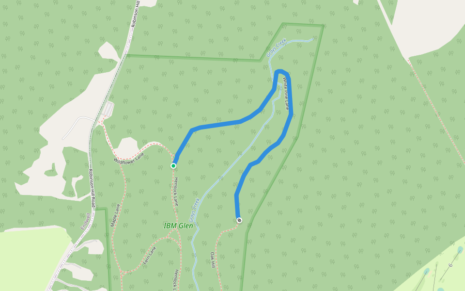 White Pine Lane walking route map in Endicott