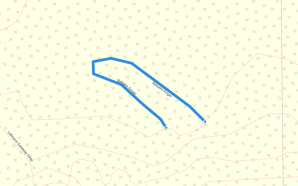 Balsalm Finger walking route map in Houghton