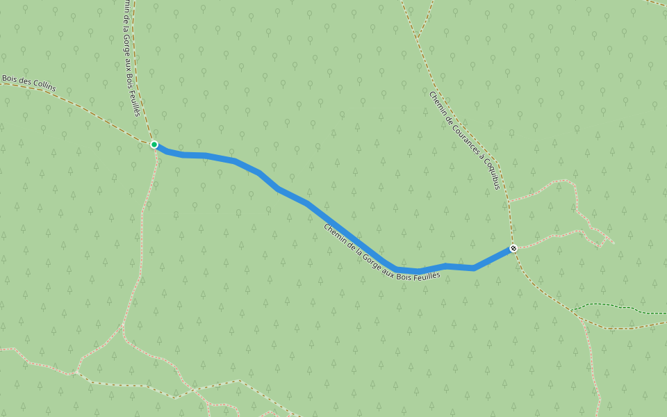 Chemin de la Gorge aux Bois Feuillés walking route map in Milly-la-Forêt
