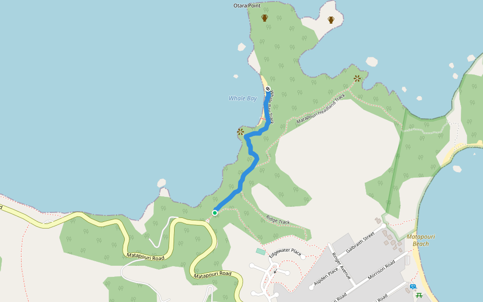 Whale Bay Track walking route map in Matapouri