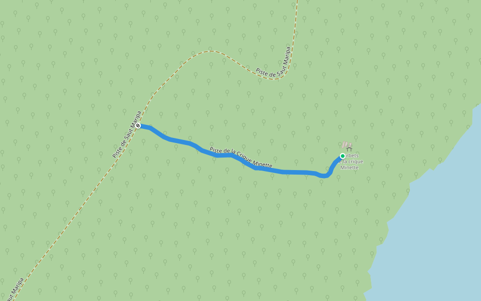 Piste de la Crique Minette walking route map in Saint-Georges