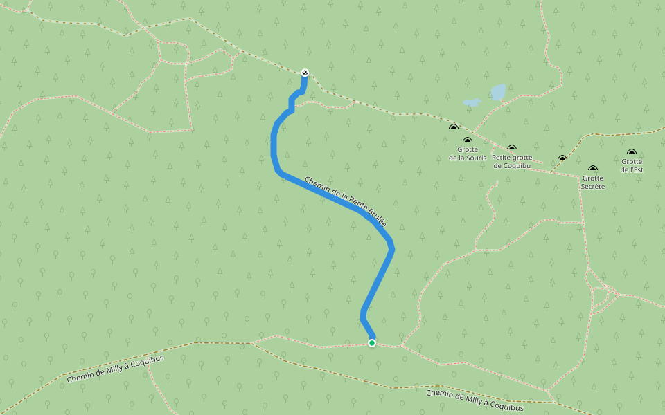 Chemin de la Pente Brulée walking route map in Milly-la-Forêt