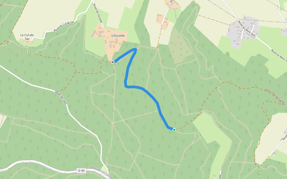 Chemin des Forts walking route map in Maulévrier-Sainte-Gertrude