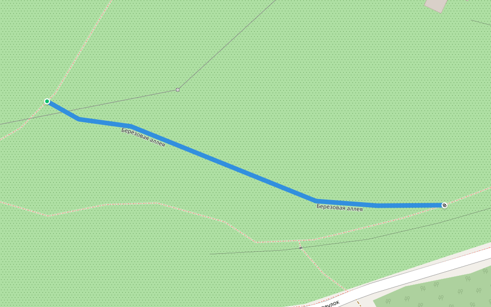 Берёзовая аллея walking route map in Tomsk