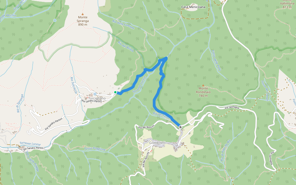 Via del Lucente walking route map in Torcigliano