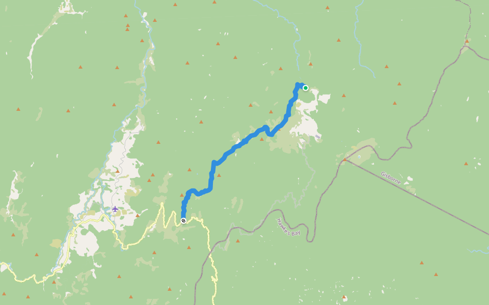 Maungapohatu Track walking route map in Maungapohatu