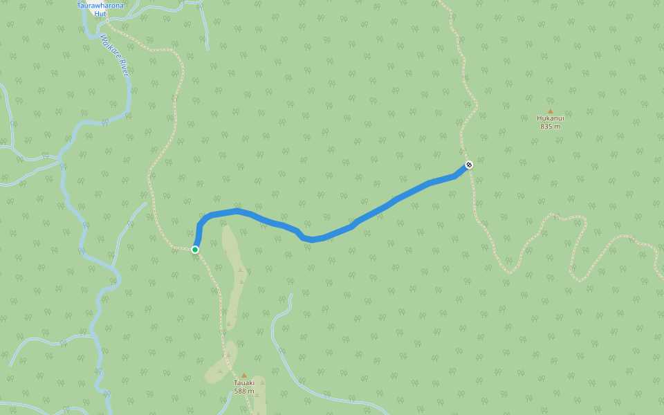 Paetawa Track walking route map in Maungapohatu