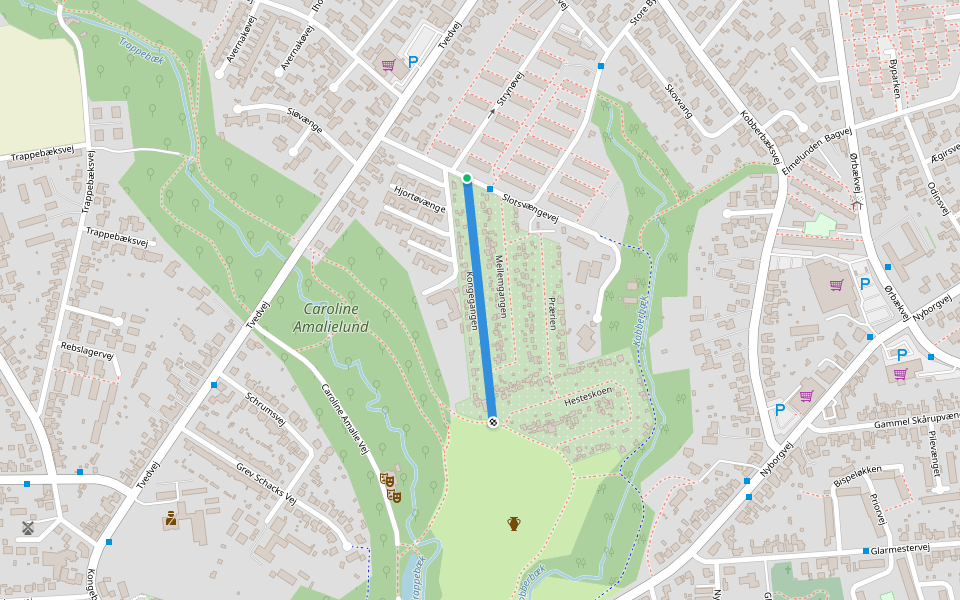 Kongegangen walking route map in Svendborg