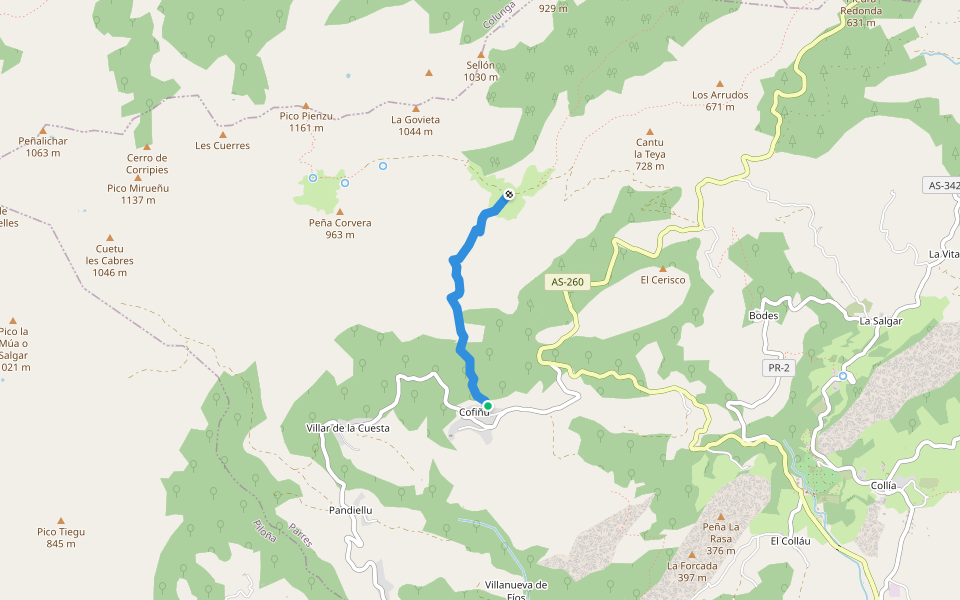 Camino de Cofiño a El Bustaco walking route map in Cofiño