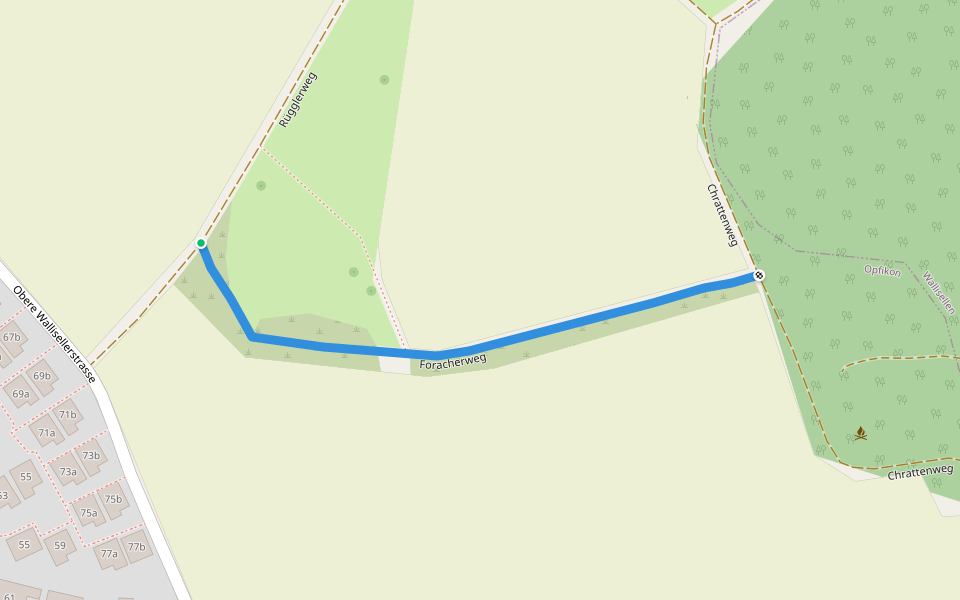 Foracherweg walking route map in Opfikon