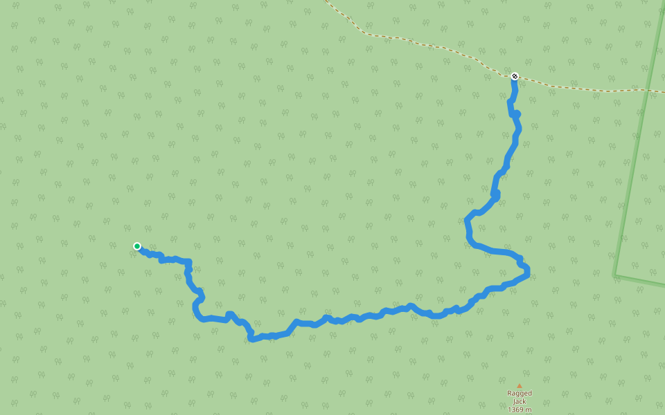 Ragged Jack West Track walking route map in Ben Lomond
