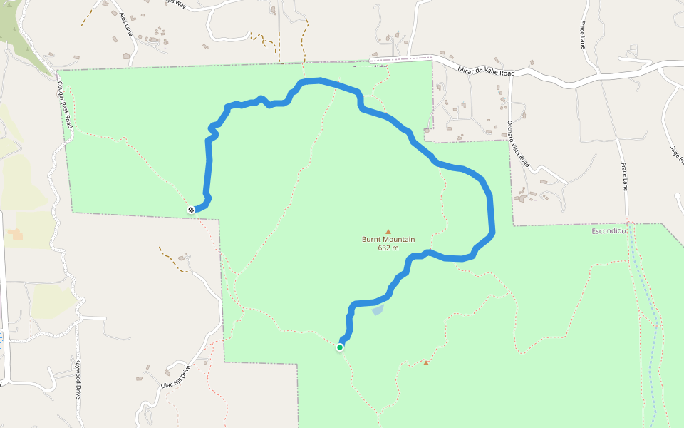 Engelmann Oak Trail