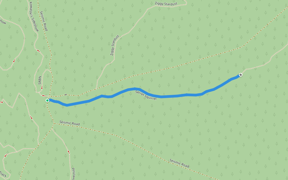 Secret Squirrel walking route map in Kowen