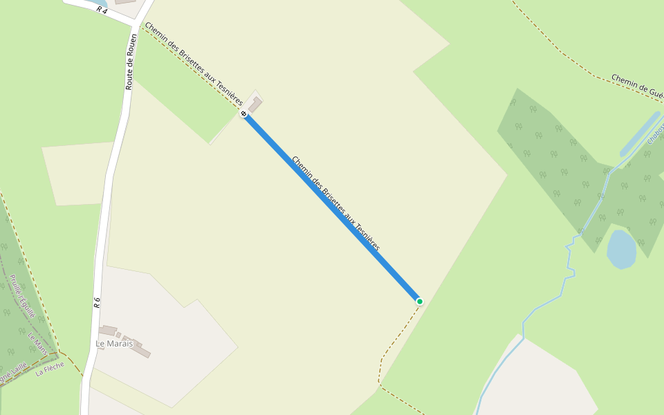 Chemin des Brisettes aux Tesnières walking route map in Pruillé-l'Éguillé