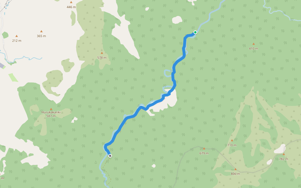 Burtton Track  and  Te Araroa Trail walking route map in Tokomaru