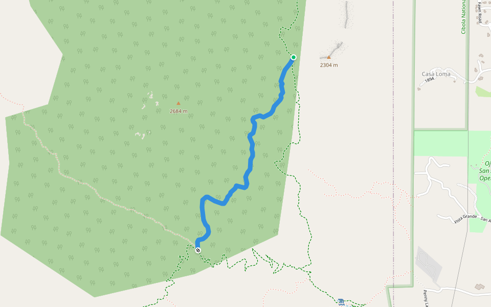 Upper Faulty Loop (195A)