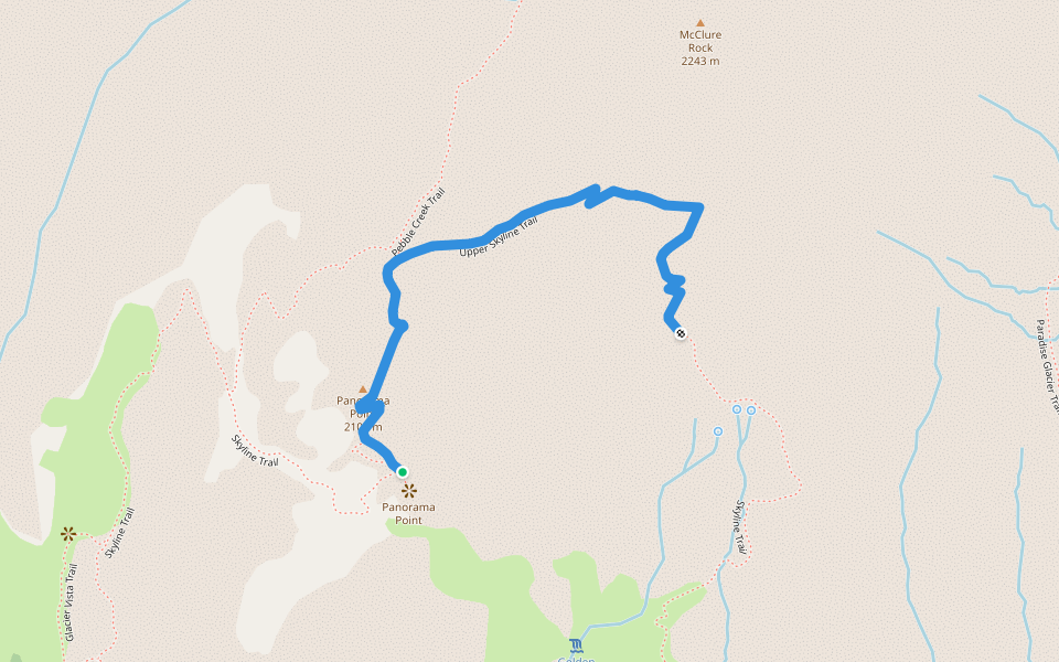 Upper Skyline Trail Hiking Ashford, Washington Pacer