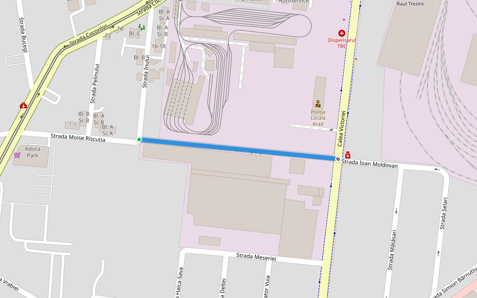 Strada Moise Rișcuția walking route map in Arad