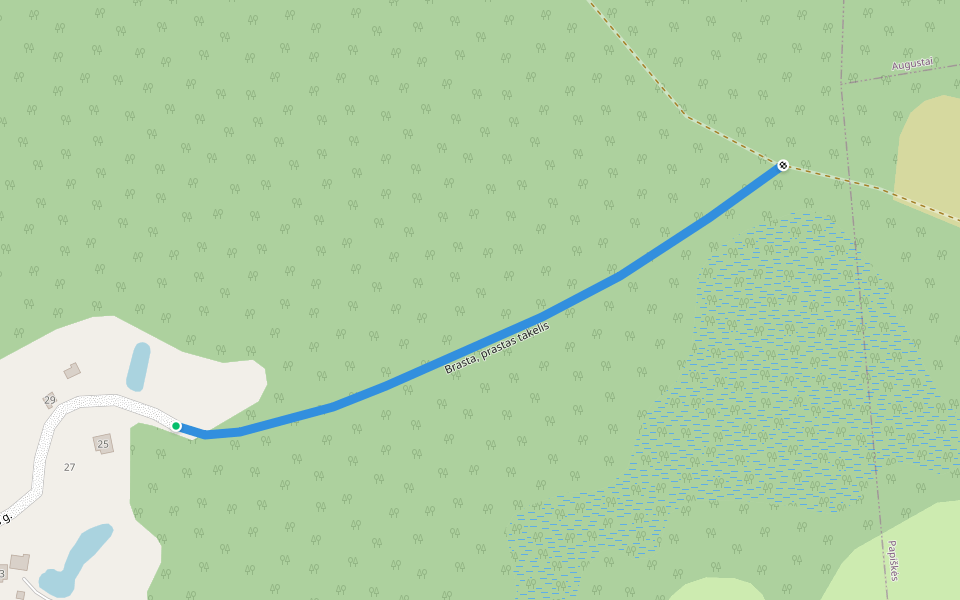 Brasta, prastas takelis walking route map in Medžiakalnis
