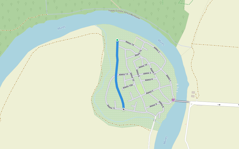 Aleea 12 walking route map in Arad