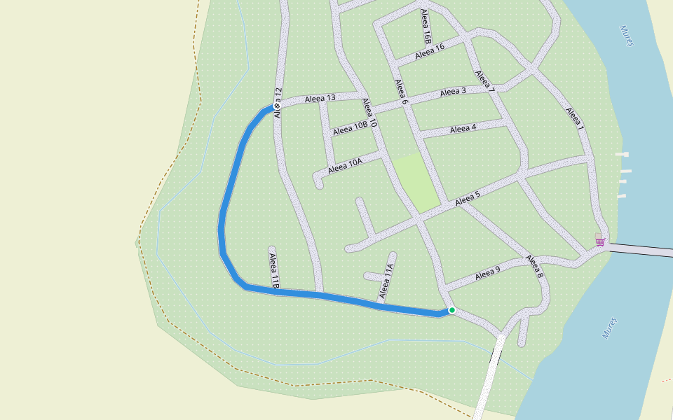 Aleea 11 walking route map in Arad