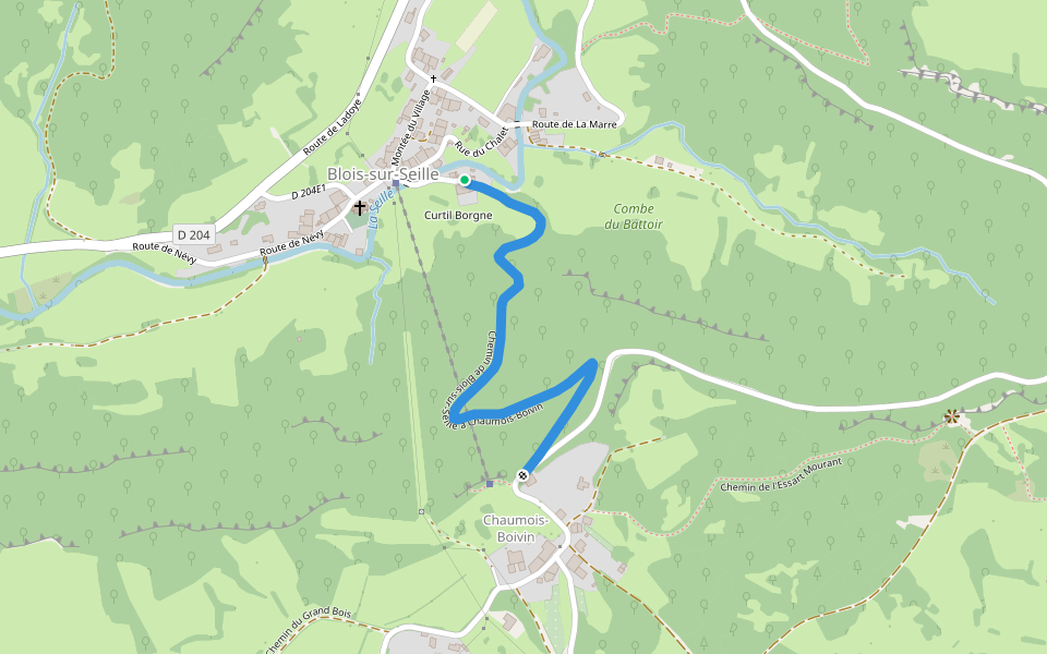 Chemin de Blois-sur-Seille à Chaumois-Boivin walking route map in Blois-sur-Seille
