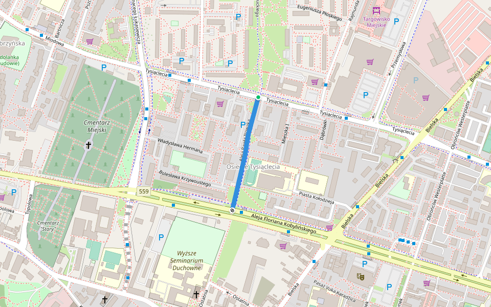 Aleja Pawła Nowaka walking route map in Płock